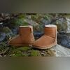 newfinds805